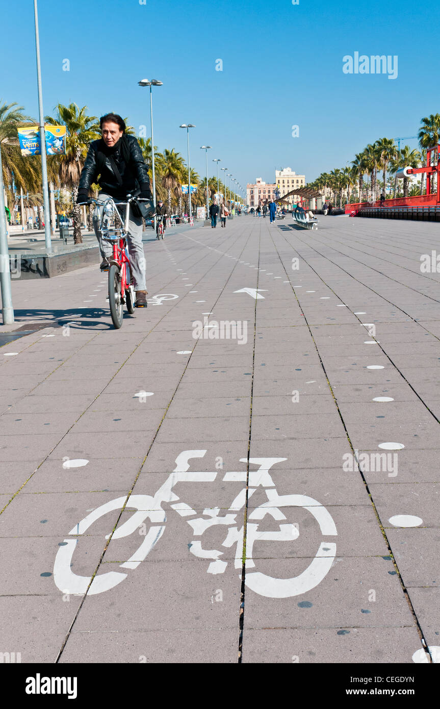 Pista ciclabile lungo Passeig de Colom, Barcellona, in Catalogna, Spagna Foto Stock