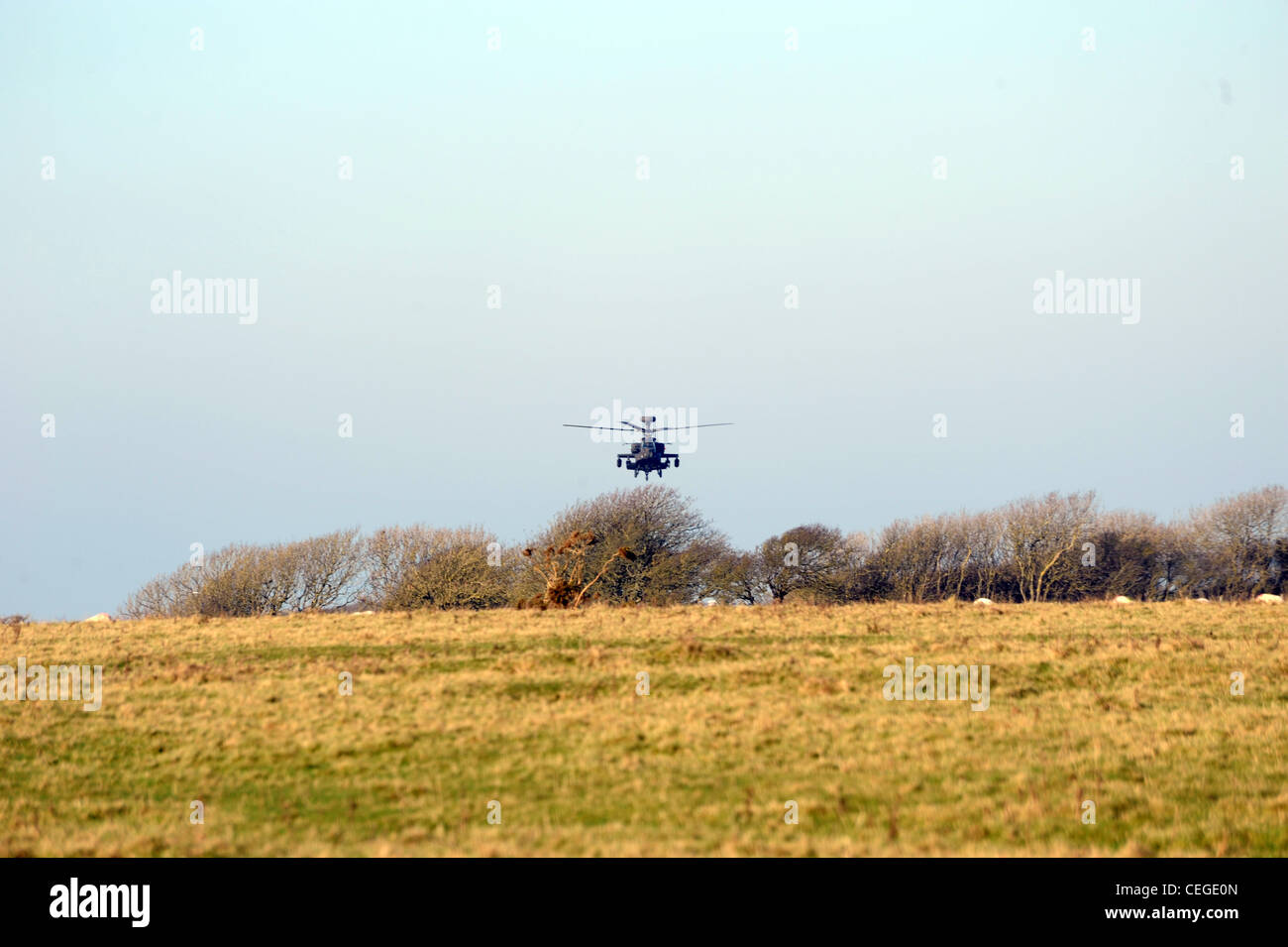 Il AH-64 Apache è un quattro-Attacco lama elicottero con retromarcia-triciclo di atterraggio e cockpit in tandem per un equipaggio di due. Foto Stock