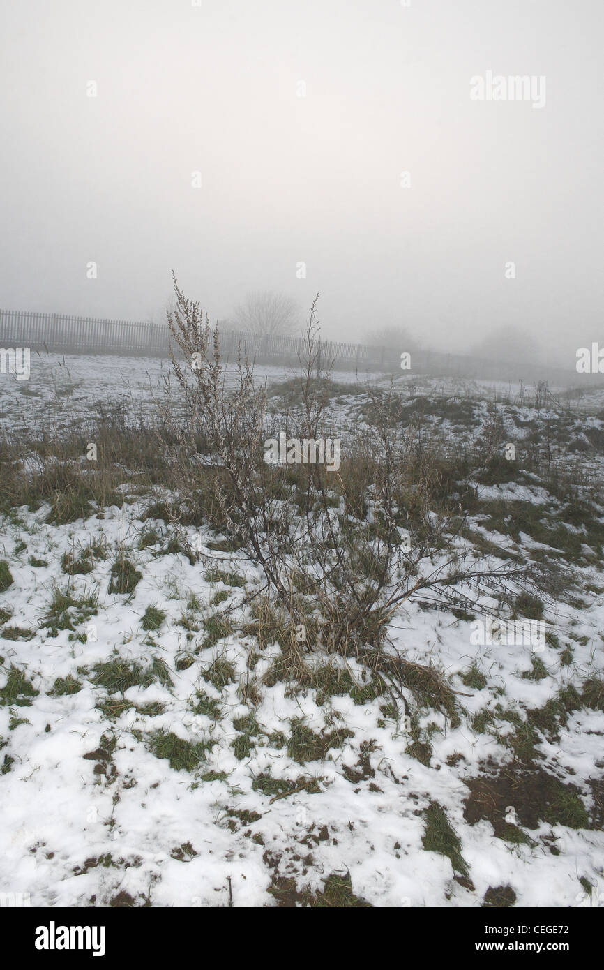 Nebbia e neve coperto campo. Worksop, Notts, Regno Unito Foto Stock