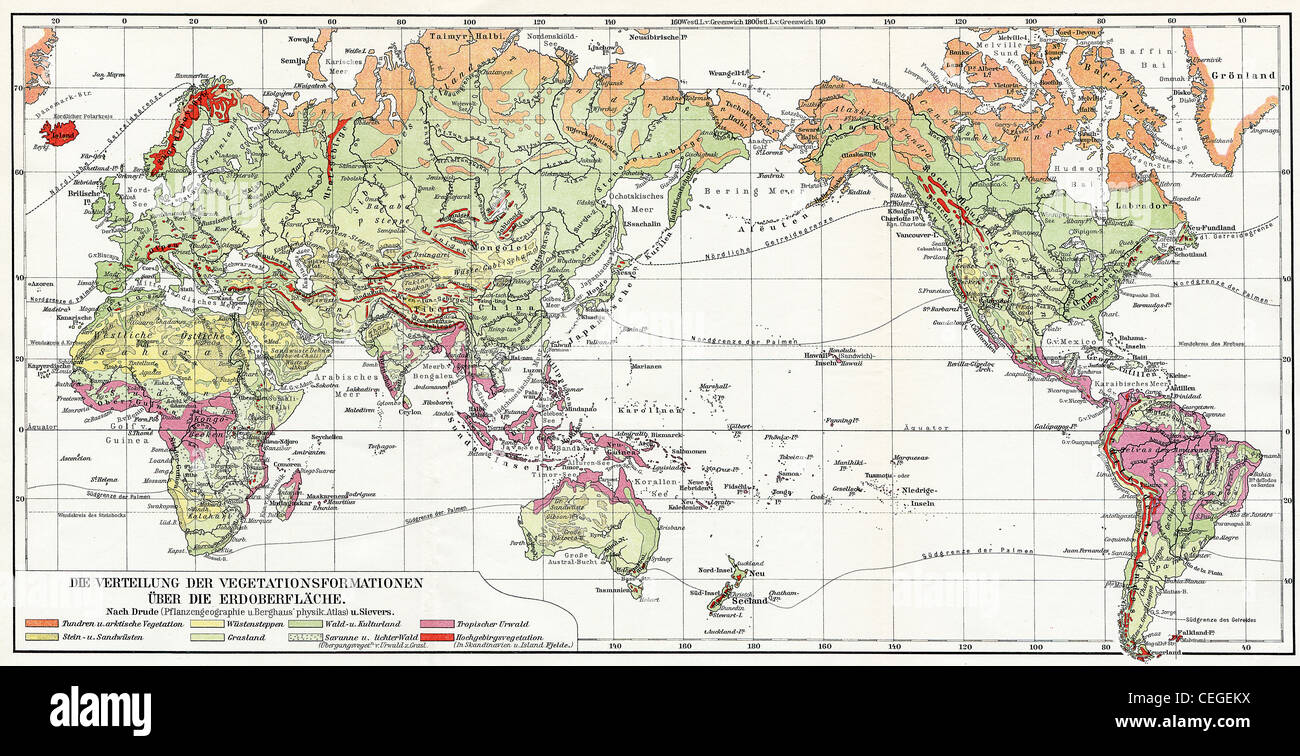 Mappa la distribuzione della vegetazione sulla terra. Foto Stock