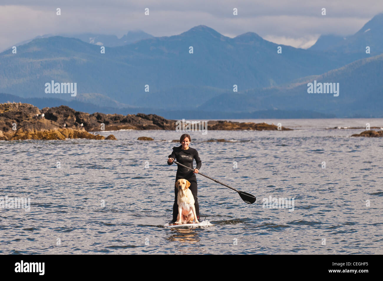 Donna e cane Standup Paddle Boarding off Kruzof isola, a sud-est di Alaska Foto Stock