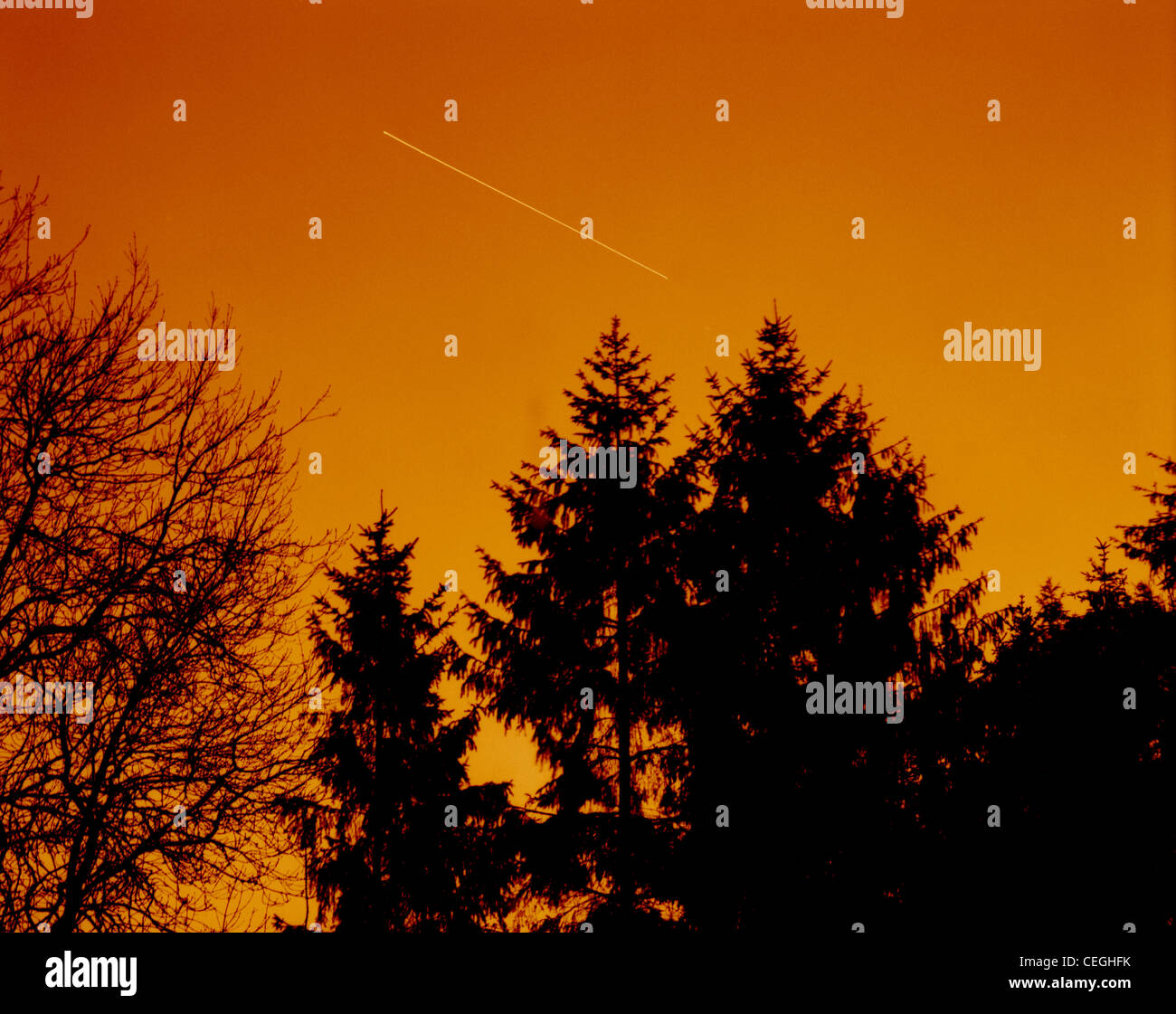 Lone star trail Foto Stock