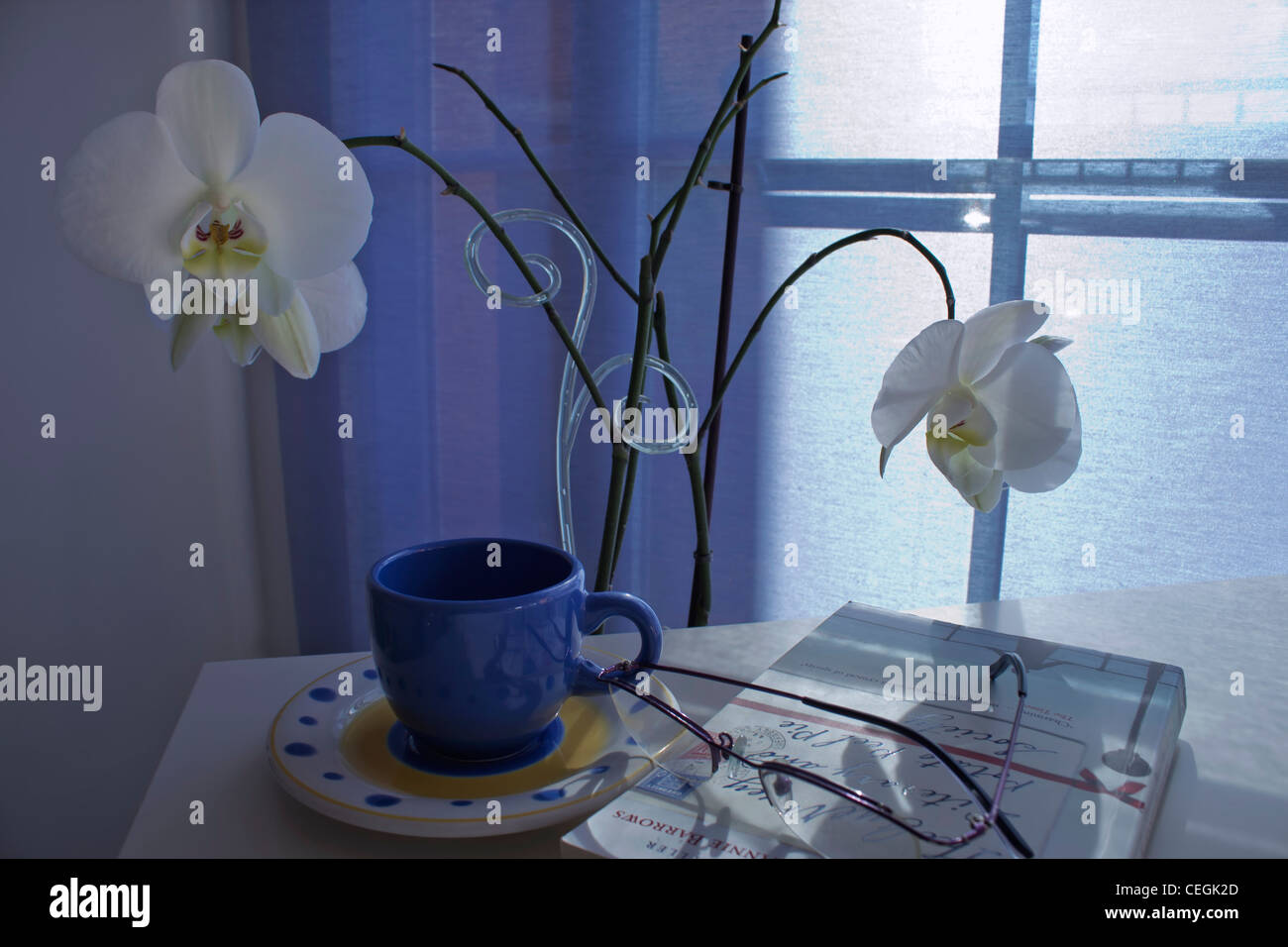 Tazza e piattino, libro e i bicchieri sul tavolo di fronte a piante di orchidee. Foto Stock