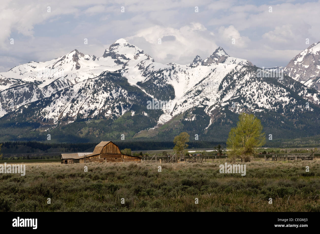 Moulton Barn in Antelope Flats, Grand Teton National Park, Wyoming Foto Stock