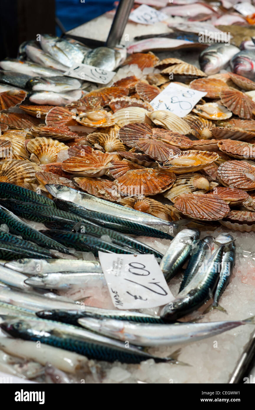 Pesce fresco al mercato alimentare di contatore Foto Stock