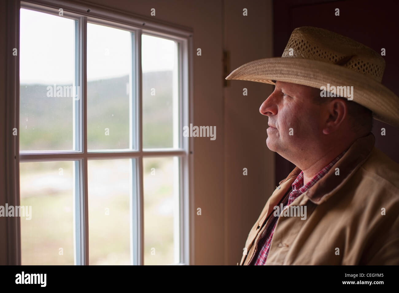 Il vecchio cowboy guardando fuori della finestra Foto Stock