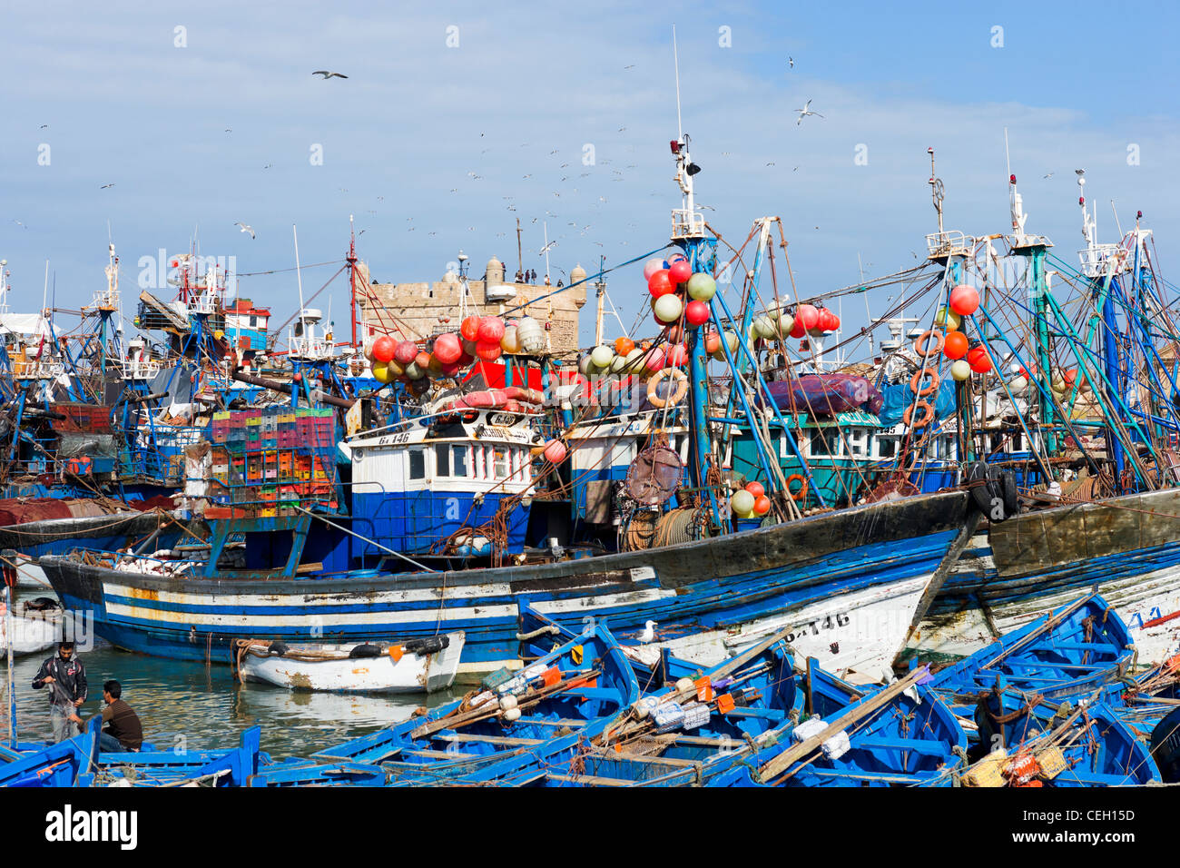 Barche da pesca in porto a Essaouira con la Skala du Port dietro, Marocco, Africa del Nord Foto Stock
