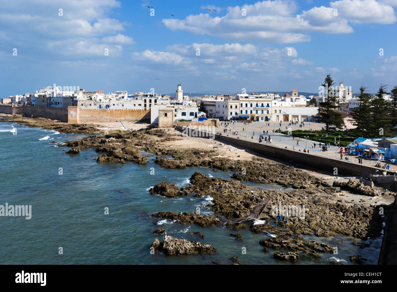 Vista della città vecchia dalle pareti di Skala du Port, Essaouira, Marocco, Africa del Nord Foto Stock