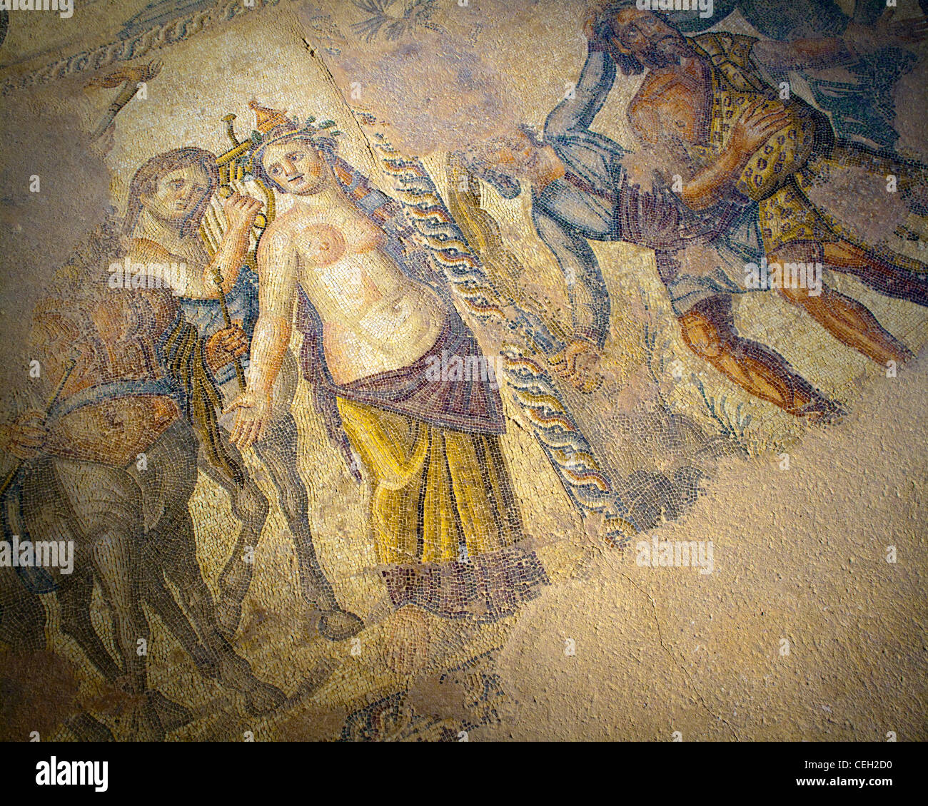 CY - NEA PAPHOS: mosaico a casa di Dionysos presso il parco archeologico Foto Stock