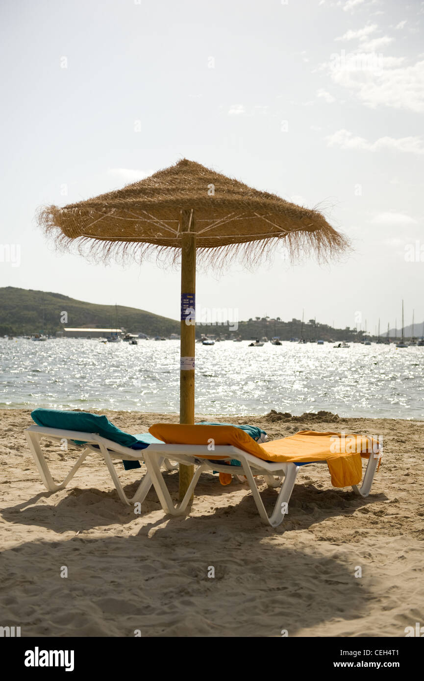 Passeggiata di pino, Puerto Pollensa, Mallorca Foto Stock