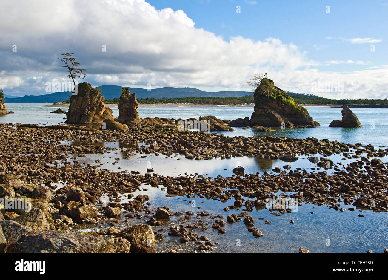 Bassa marea a tre Grazie formazione rocciosa a Tillamook Bay a Garibaldi, Oregon. Foto Stock