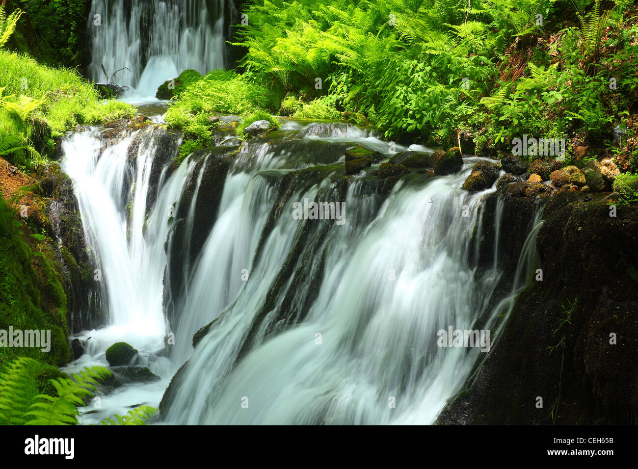 Fresco verde e cascata. Shiraito cade. karuizawa nagano Giappone Foto Stock
