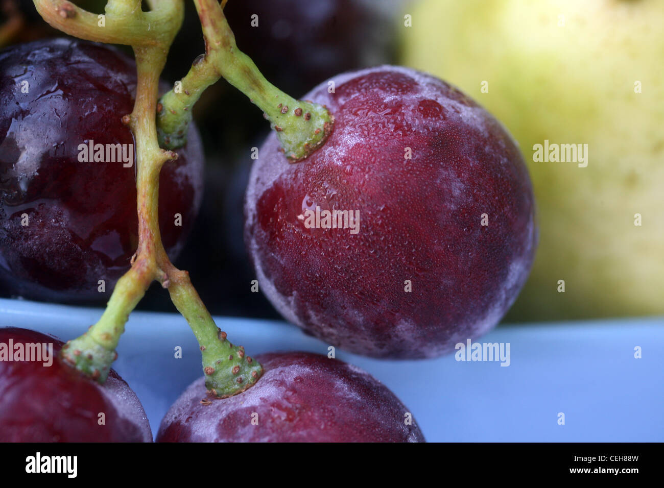 Bacche d'uva Foto Stock