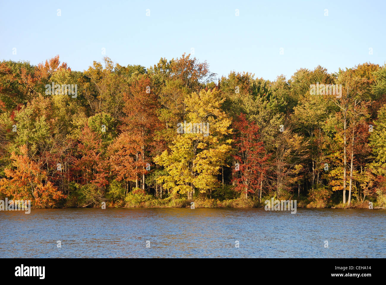 Lago,autunno,caduta,fiume,nuvole,paesaggio, natura, Foto Stock