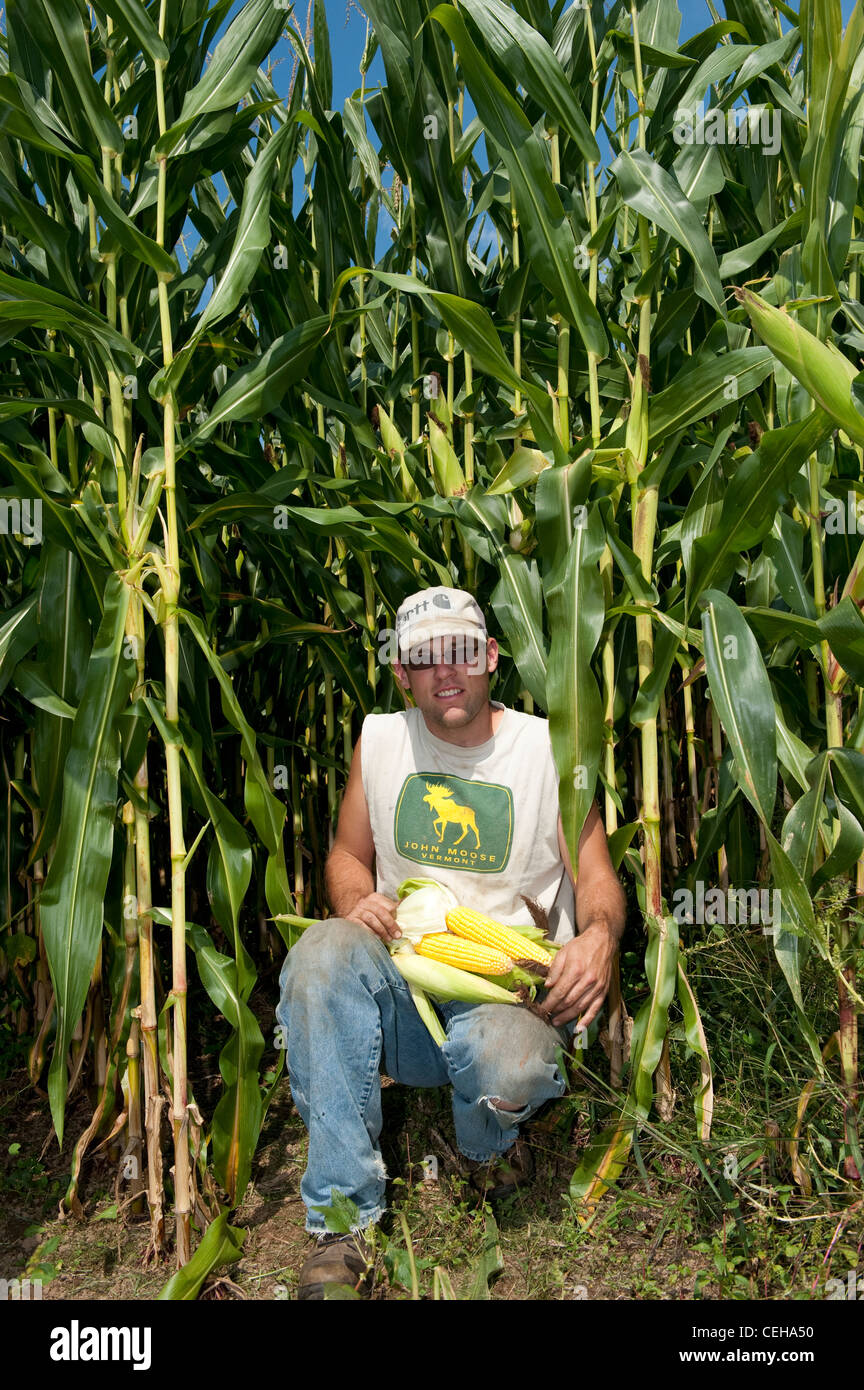 Contadino con pannocchie di mais in mani. In Pennsylvania, Stati Uniti d'America. Foto Stock