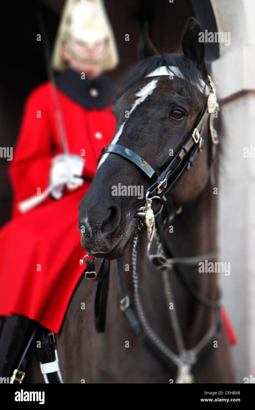 Famiglia cavallo di cavalleria sul dazio a Horse Guards, London, Regno Unito Foto Stock