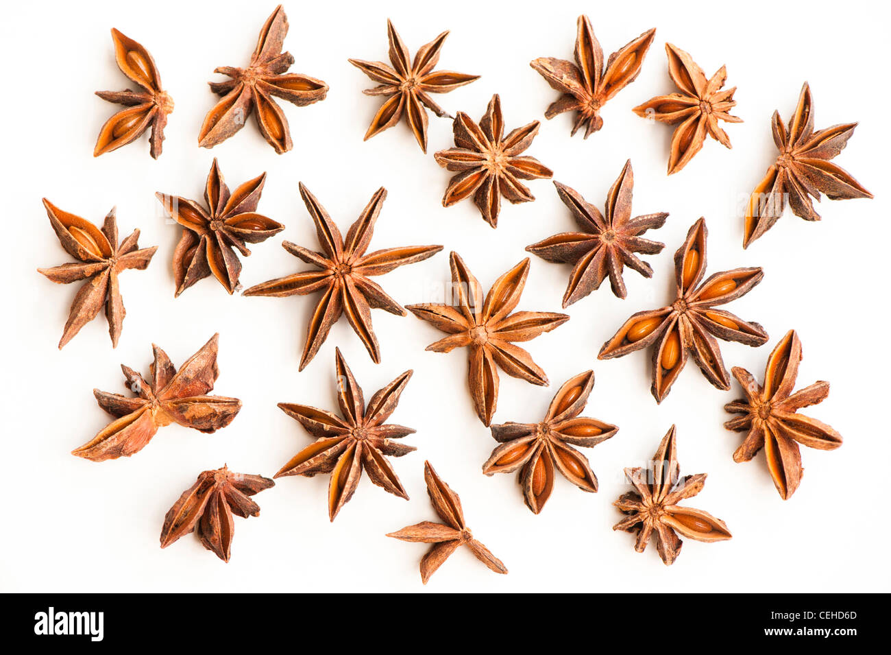 Anice stellato, Illicium verum Foto Stock