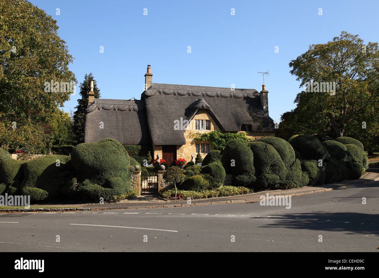 Il Cloud potatura di una siepe al di fuori di un cottage con tetto in paglia in Chipping Campden, Gloucestershire,un grazioso villaggio Costwold Foto Stock