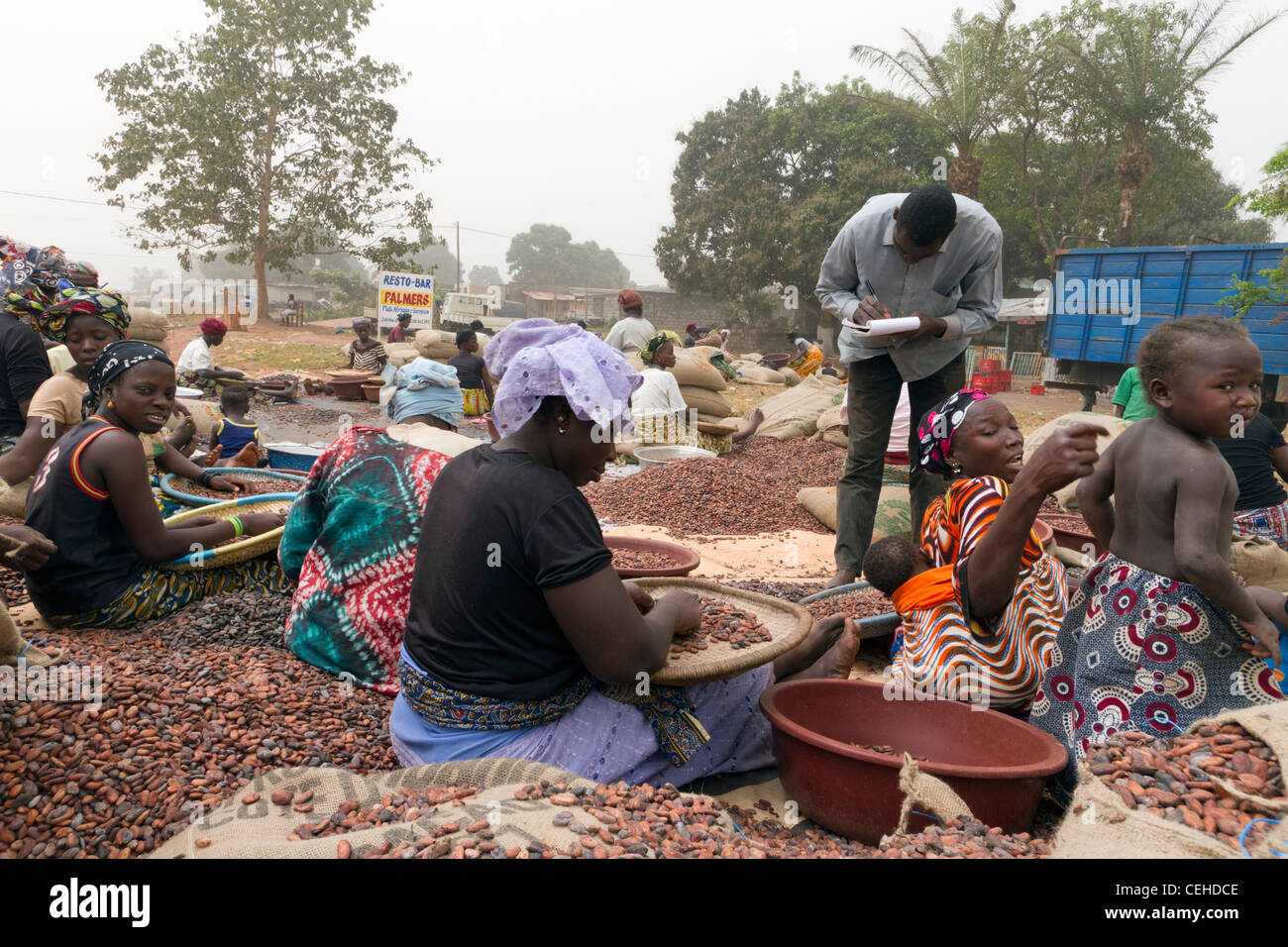 Cacao in strada Duékoué Repubblica della Costa d'Avorio Costa d Avorio Foto Stock