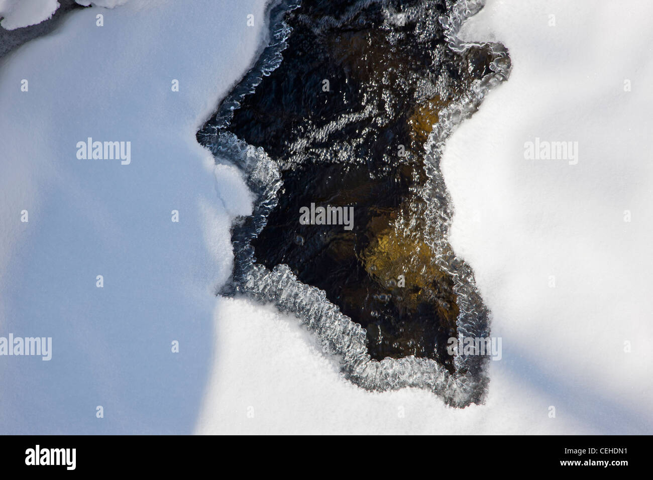 Creek, ghiaccio e neve nei pressi di Monarch Pass, Chaffee County, Colorado, STATI UNITI D'AMERICA Foto Stock