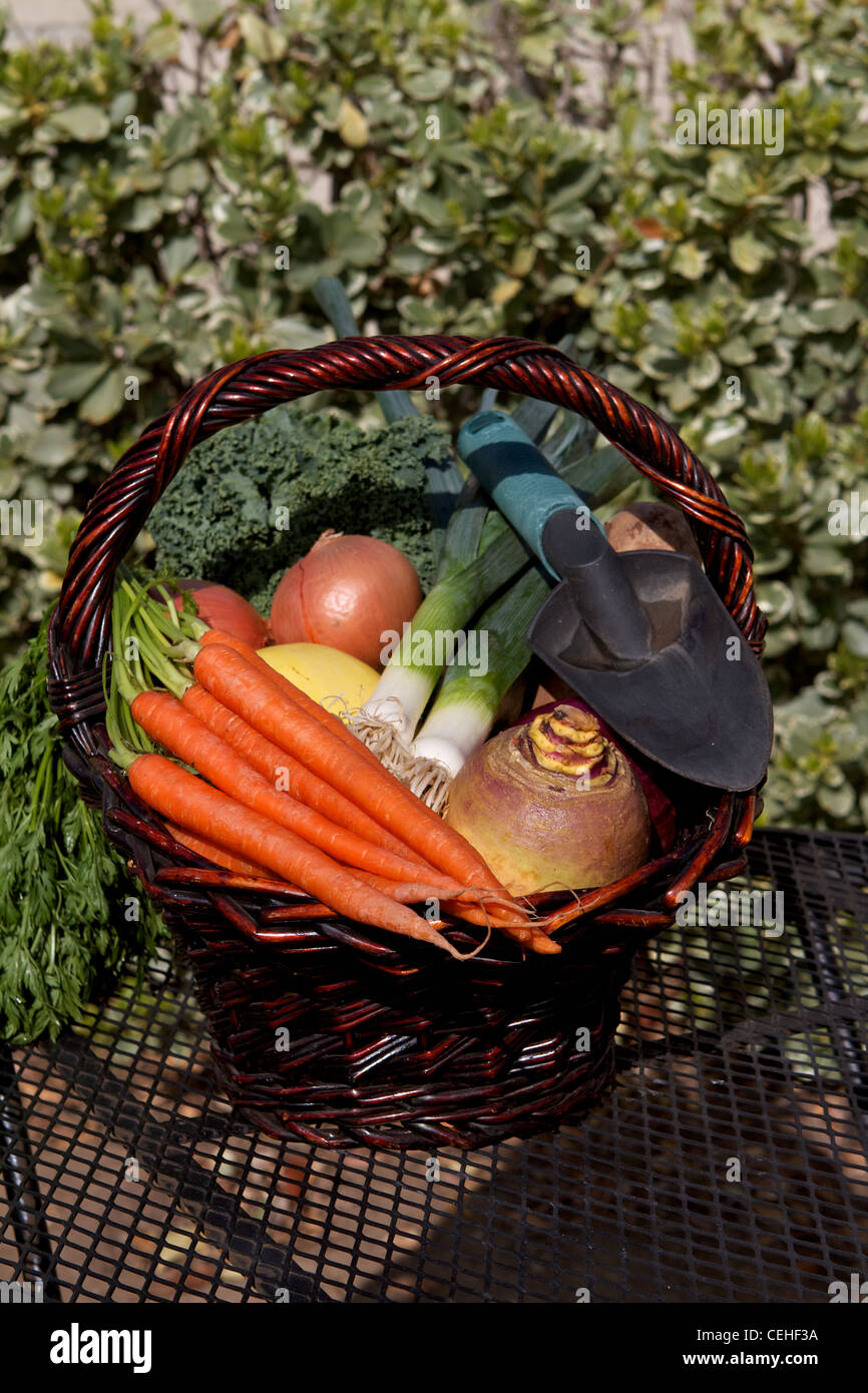 Cesto di verdure fresche in una tavola in un giardino Foto Stock