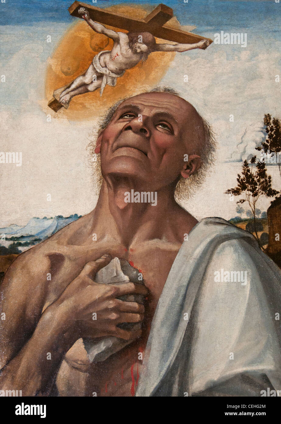 Lucia Signorelli San Girolamo penitente 1505 ecstasy Italia Italiano Foto Stock
