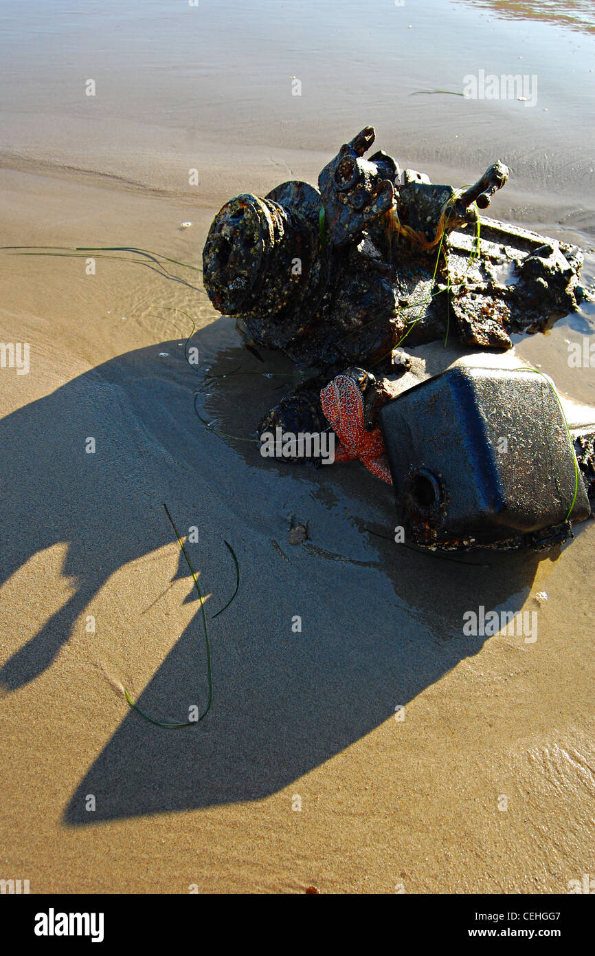 Il blocco motore e la stella di mare, grande Dume Beach, California Foto Stock