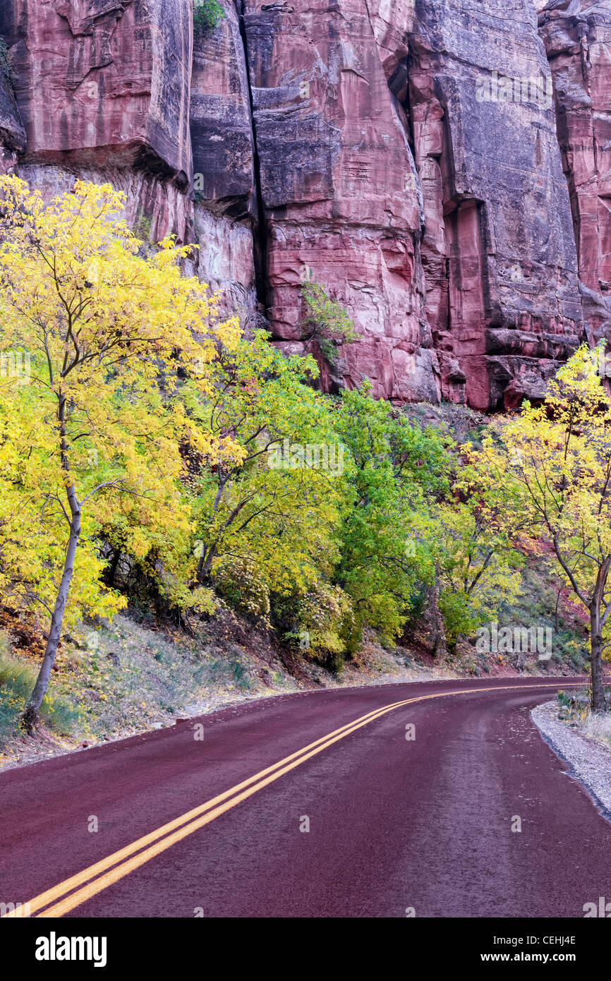 Il West Rim Road consente ai visitatori di guidare tra le pareti del canyon e i colori autunnali in Utah's Zion National Park. Foto Stock