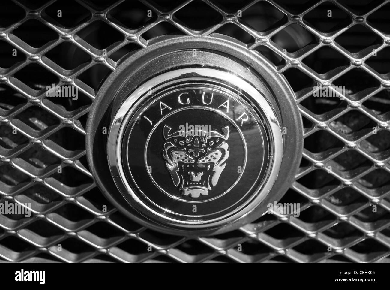 Jaguar simbolo del logo del marchio sul radiatore del veicolo Foto Stock