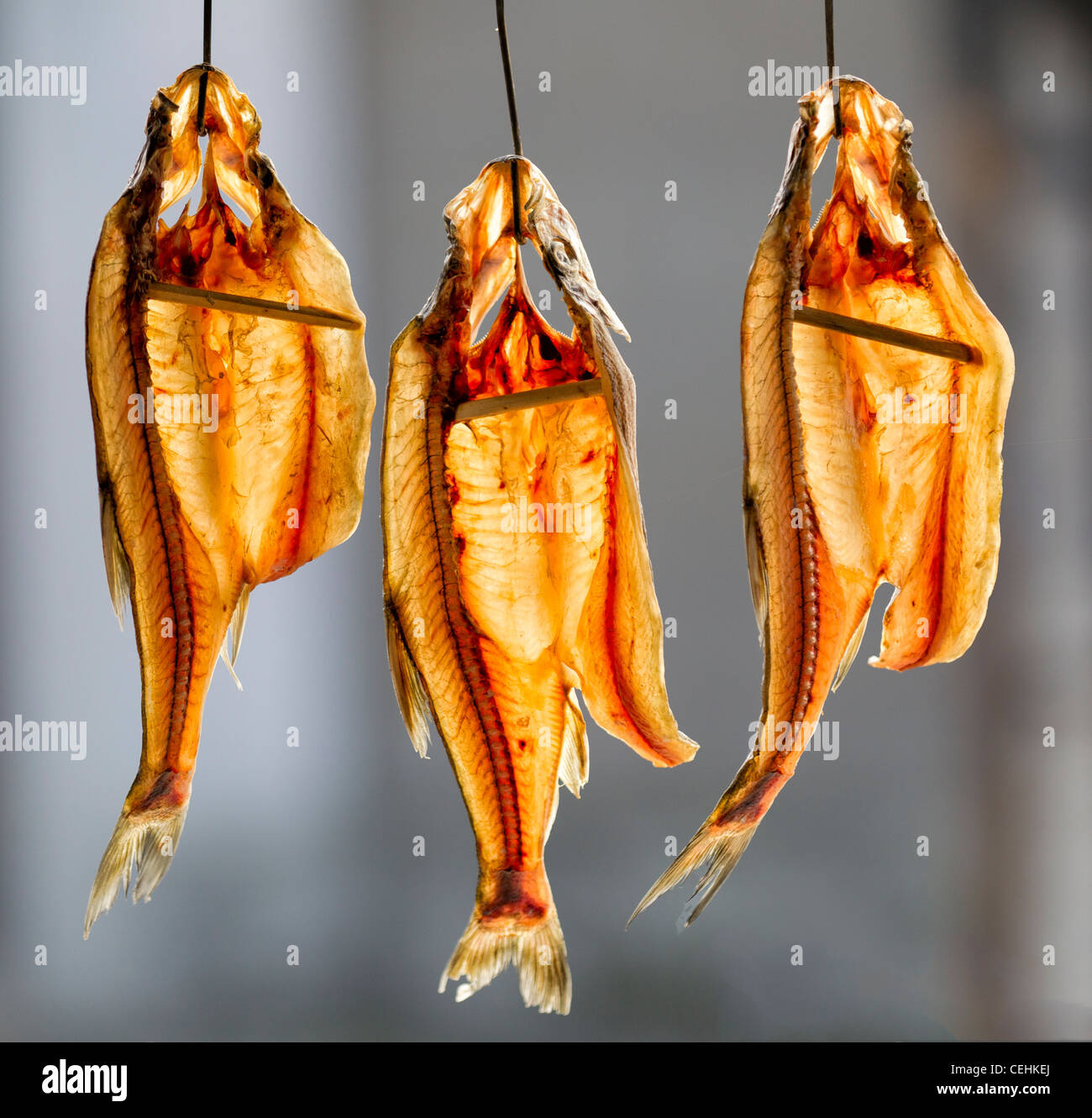 Con retroilluminazione a 3 semi-trasparente aria pesci essiccati sono appesi contro lo sfondo sfocato Foto Stock