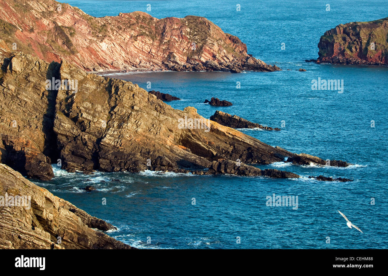 Vista del mare irlandese, rocce costiere vicino Gateholm isola lungo un robusto Pembrokeshire costa ovest di Marloes Pembrokeshire Coast Foto Stock