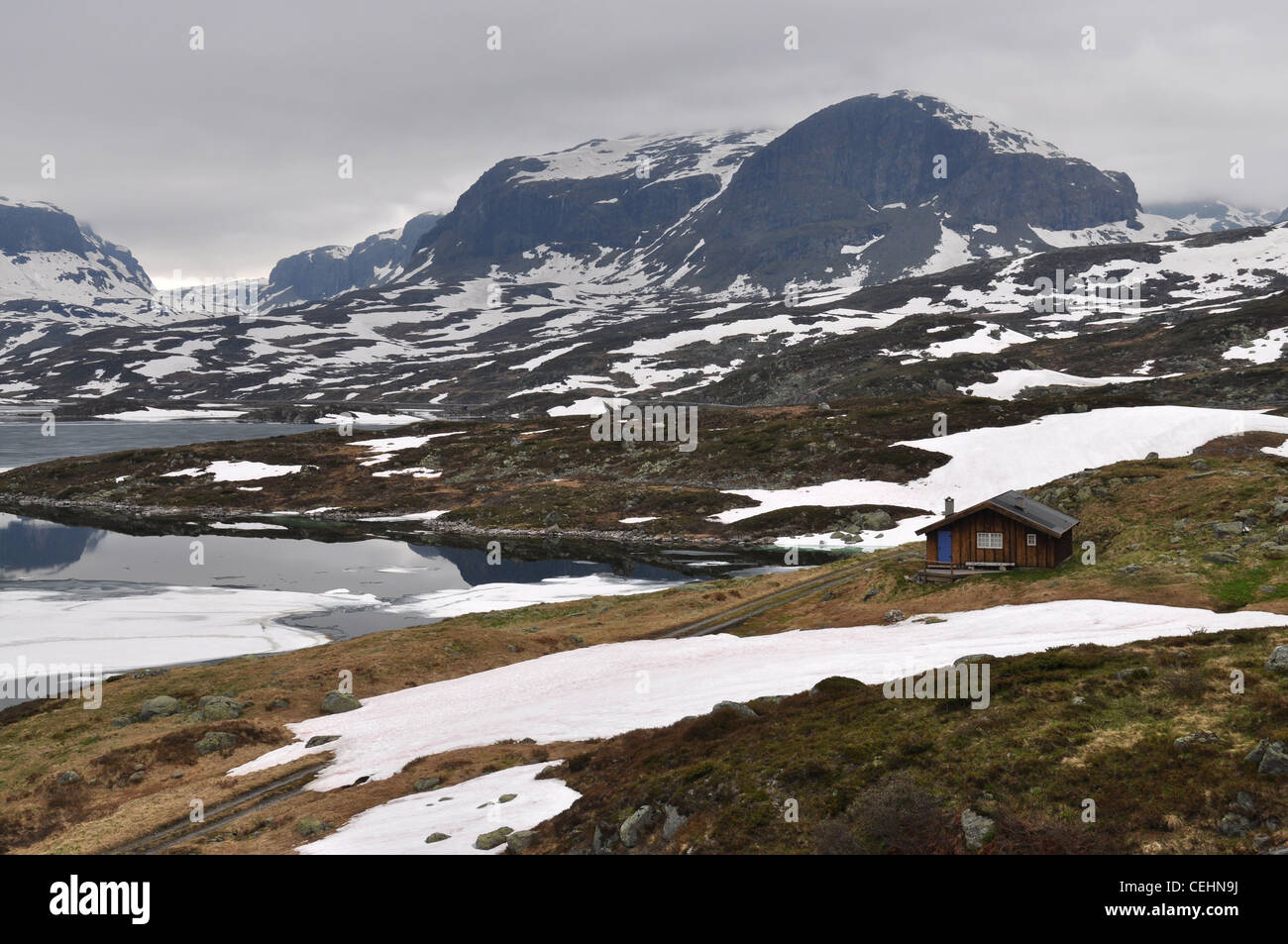 Parco Nazionale di Hardangervidda, Norvegia, Scandinavia, Europa Foto Stock