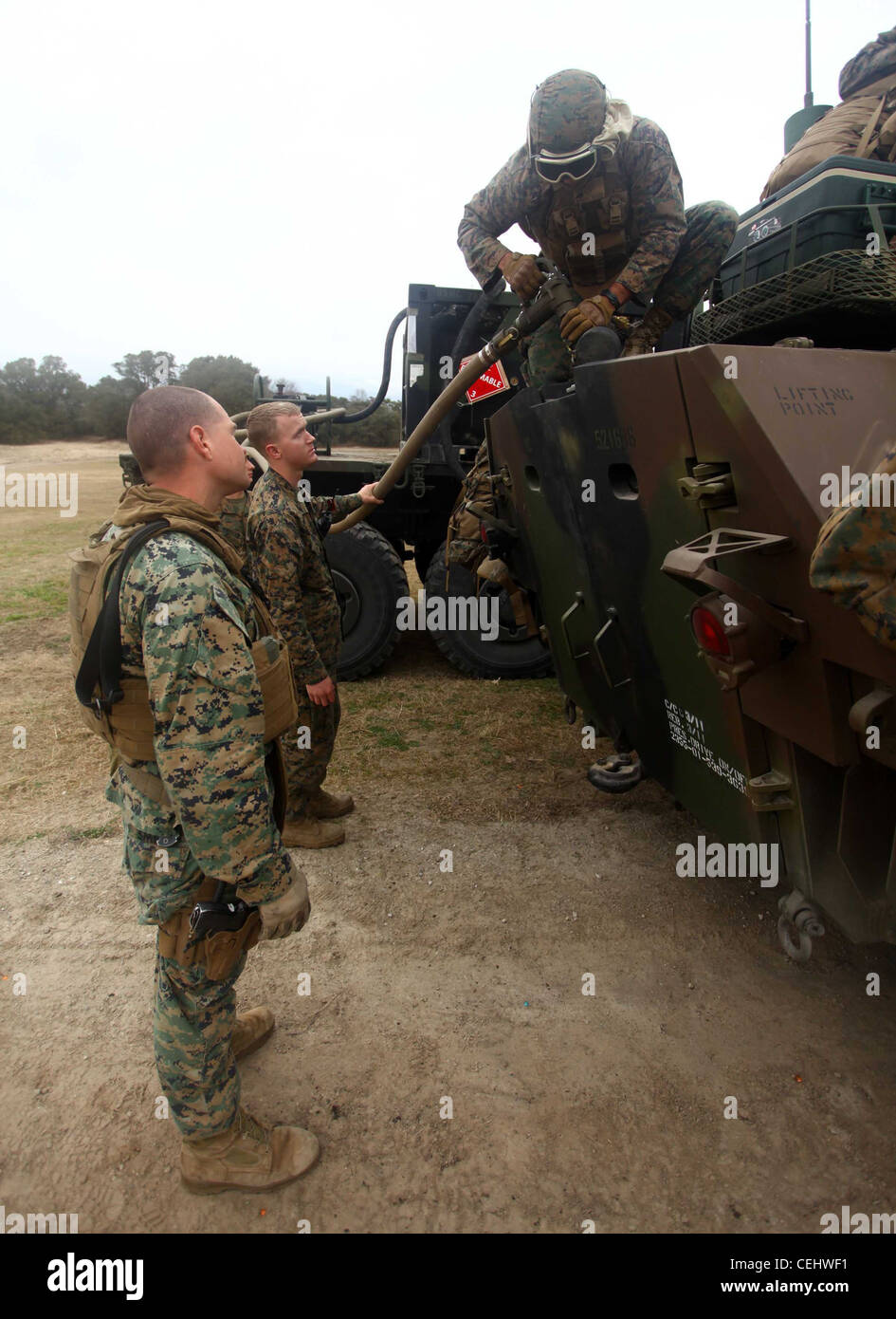 CAMP LEJEUNE N.C. - Marines con Battaglione Logistica di combattimento 24 e equipaggio Light Armored Vehicle (LAV) attaccato al Battaglione Landing Team 1° Battaglione, 2° reggimento marino, 24° unità di spedizione marina, rifornire un LAV durante un'operazione sul campo a bordo di Camp Lejeune, N.C., 14 febbraio 2012. Il 24° MEU sta conducendo il proprio esercizio di certificazione (CETEX) con Iwo Jima Amphibious Ready Group, in programma dal 27 gennaio al 17 febbraio, che comprende una serie di missioni destinate a valutare e certificare l'unità per il loro prossimo impiego. Foto Stock