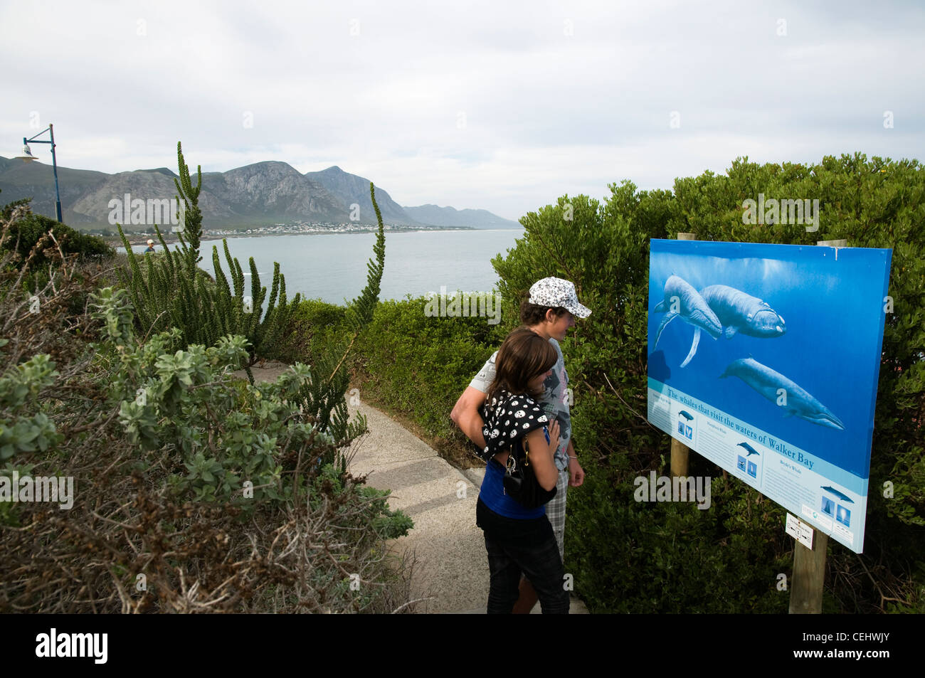 I turisti lungo la balena a piedi,Hermanus,Provincia del Capo occidentale Foto Stock