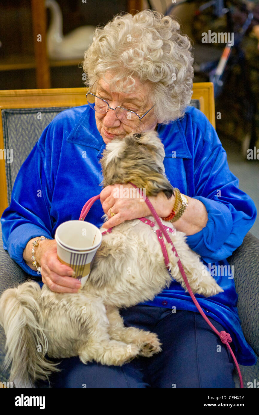 Casa di cura residenti in Mission Viejo, CA, giocare con formazione specifica terapia "cani" portata da volontari Foto Stock