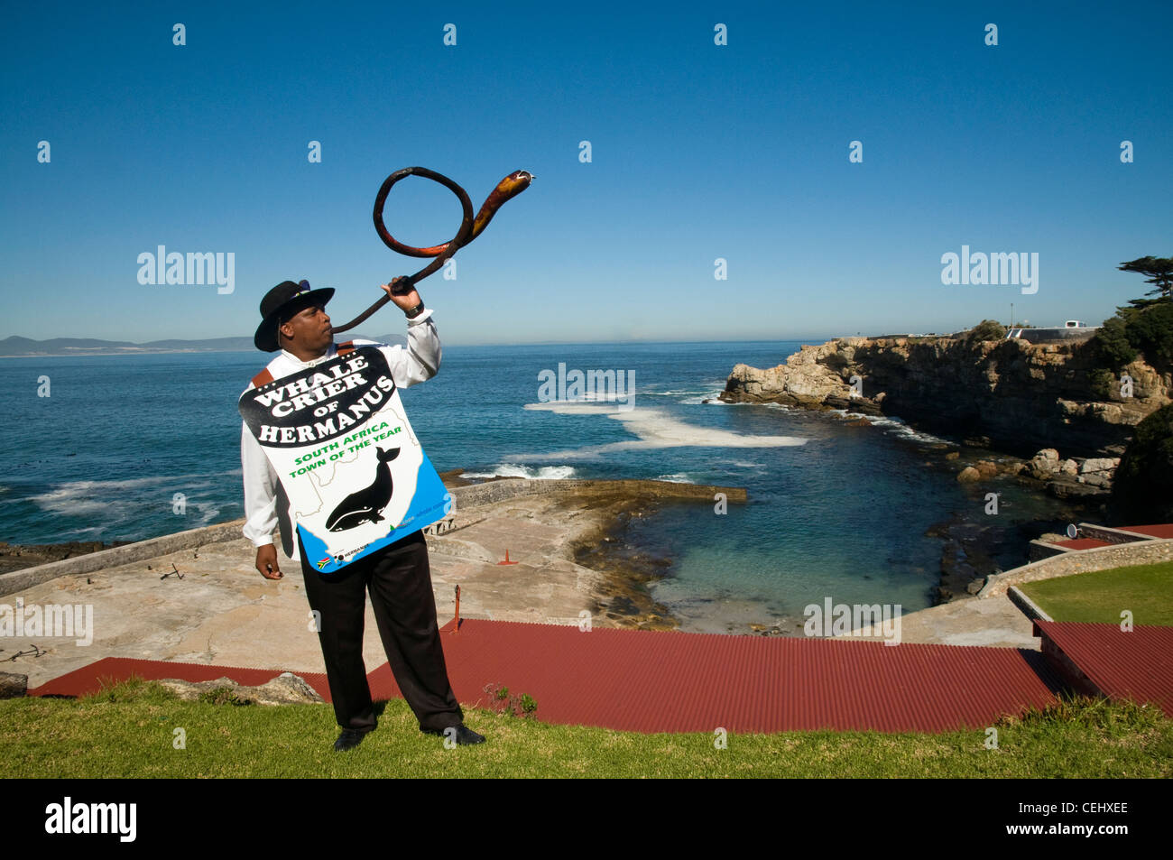 Whale Crier,Hermanus,Provincia del Capo occidentale Foto Stock