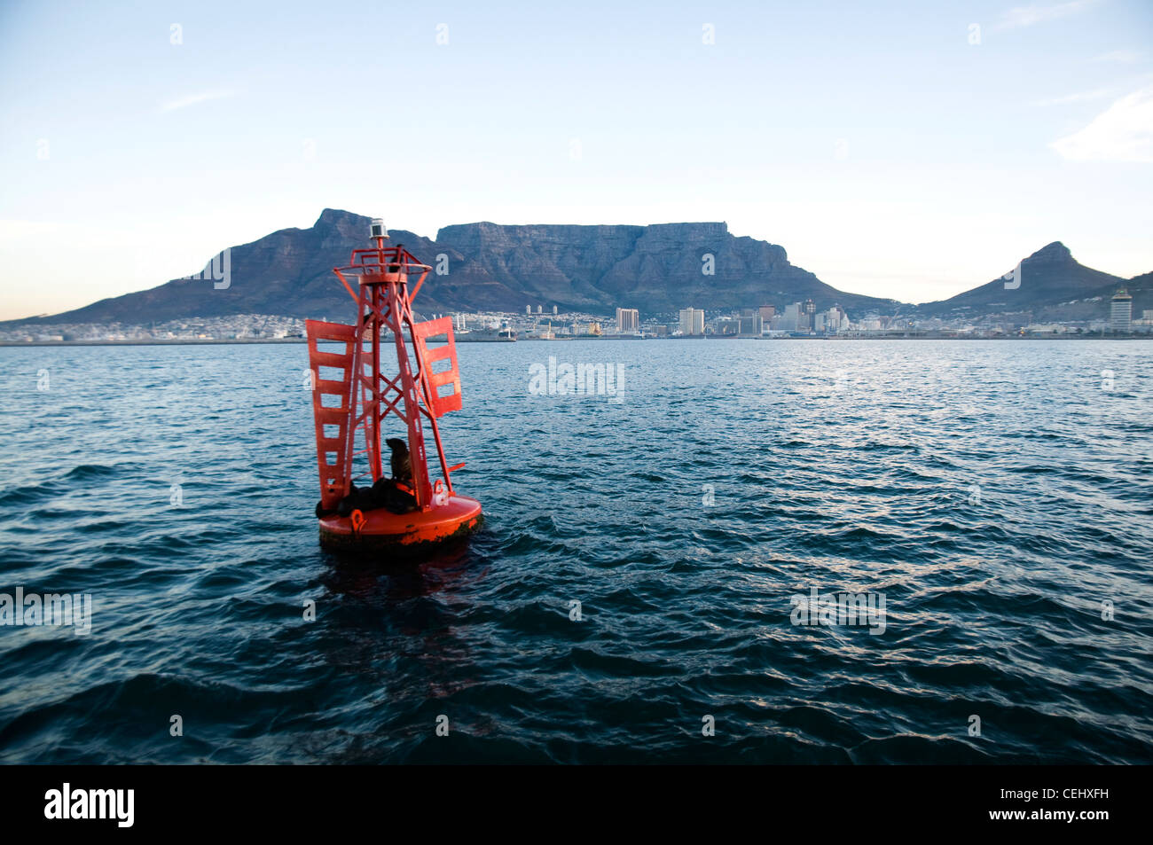 Vista della Table Mountain e la boa durante il tramonto Crociera in Battello,Cape Town,Provincia del Capo occidentale Foto Stock