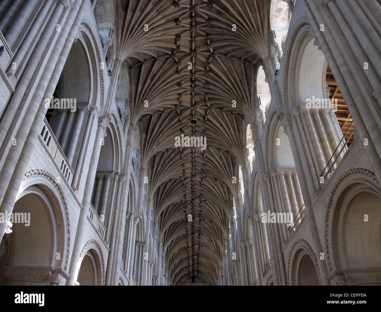 Il soffitto della Cattedrale di Norwich, Norfolk, costruita dai Normanni del luogo di culto oltre 900 anni. Foto Stock