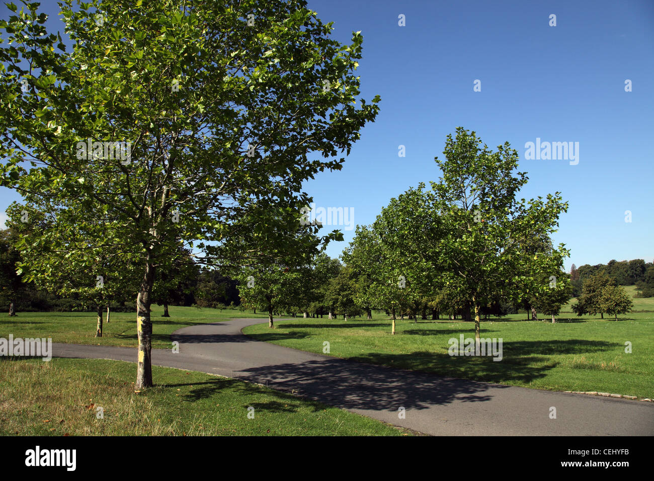 Un vialetto attraverso il parco aperto in verdent paesaggio verde di Waddesdon Manor Foto Stock