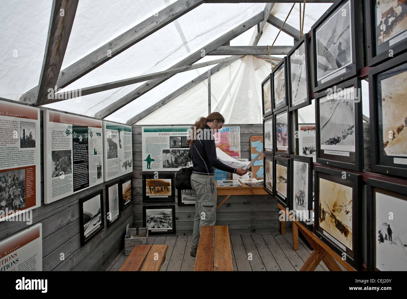 Uomo che guarda una mappa a Chilkoot Trail museum. Lindeman città museo tenda. Chilkoot Trail. British Columbia. Canada Foto Stock
