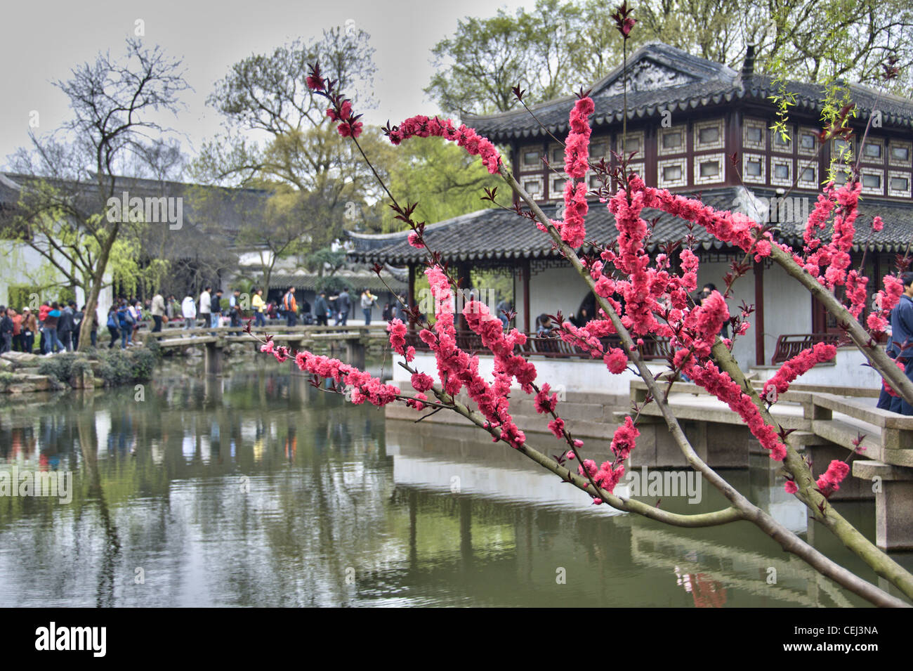 Stagno e pagoda all'Humble Administrator's garden - Suzhou (Cina) Foto Stock