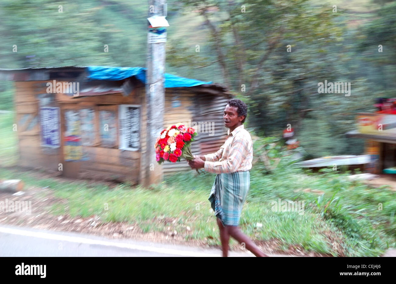 L'uomo locale in esecuzione mediante il bus con i turisti con un bouquet di fiori con la vista di venderli, Nuwara Eliya, Sri Lanka Foto Stock