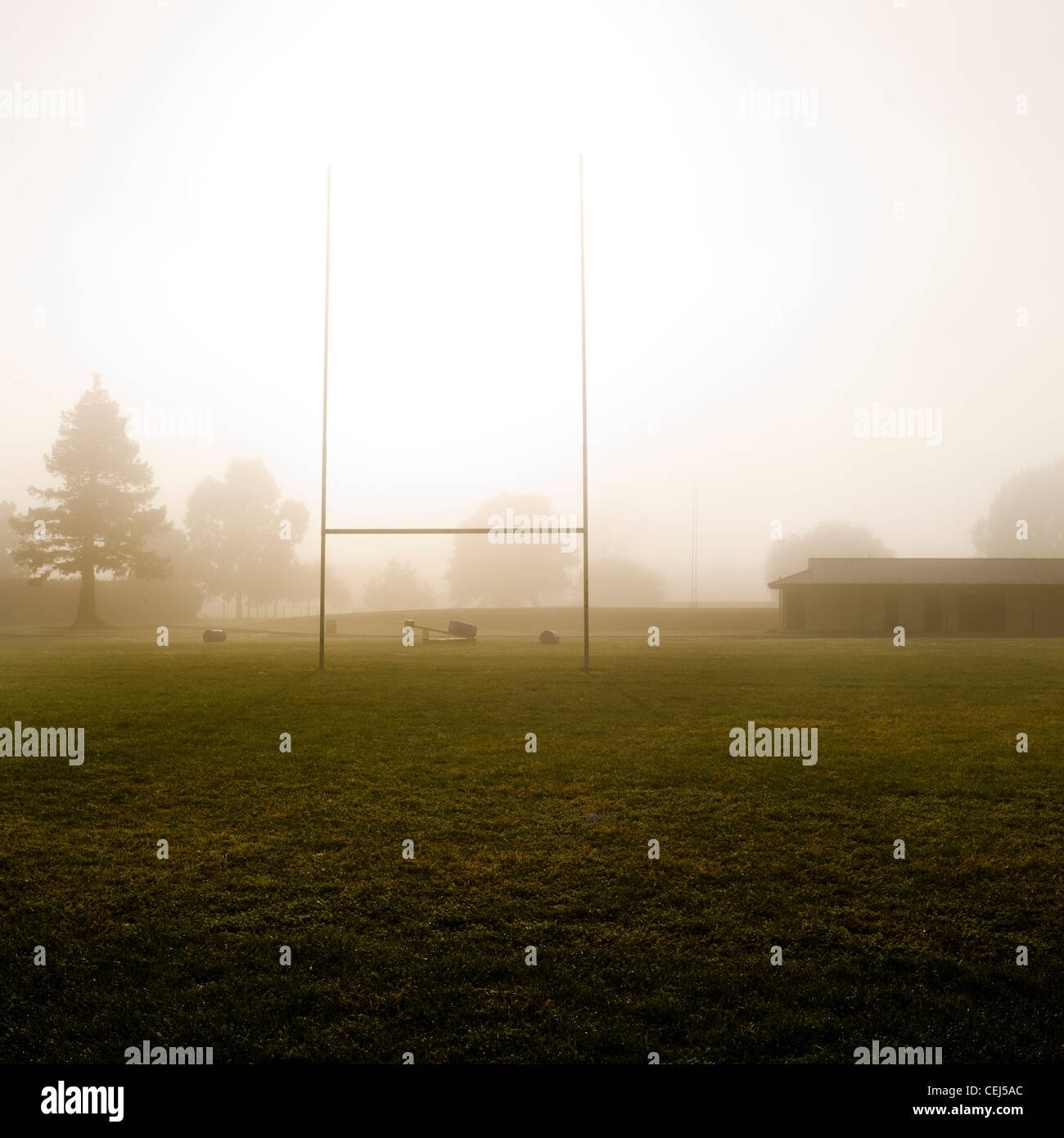 Vuoto passo di rugby con nebbia di mattina e posti di rugby Foto Stock