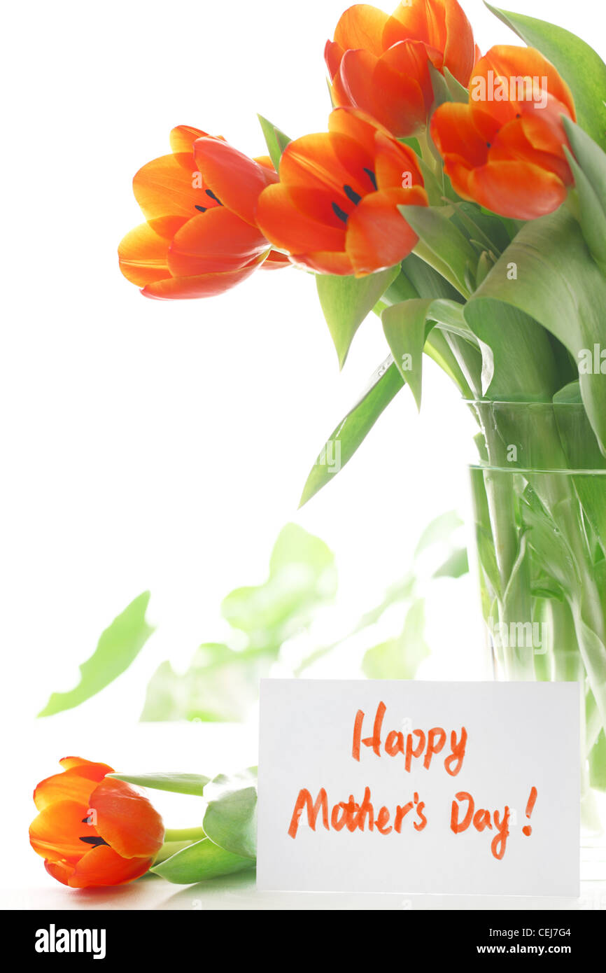 Tulipani freschi con carta regalo, felice festa della mamma. Foto Stock