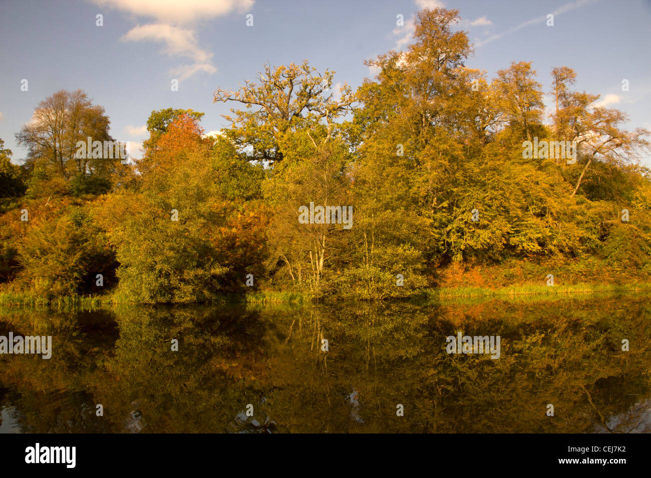 Lago e Collezione Autunno alberi,Calke Abbey parkland (National Trust) Ticknall, Derbyshire, Inghilterra Foto Stock