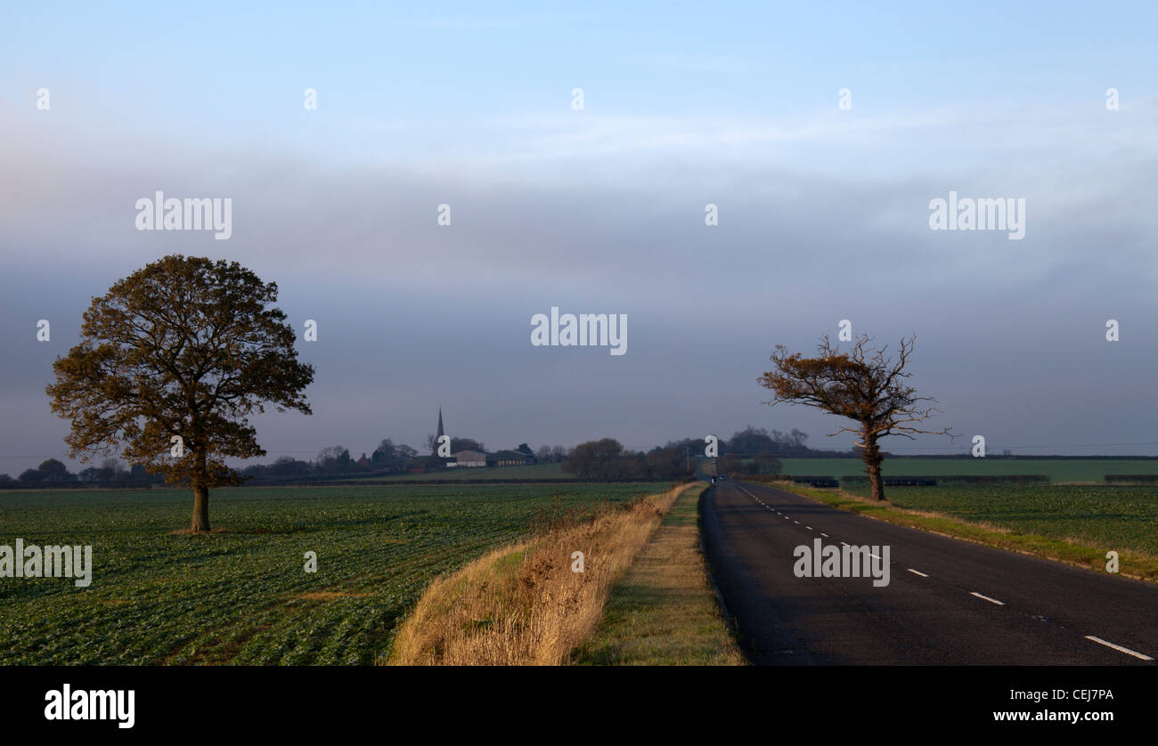 Alberi Seckington framing chiesa sulla B5493 Tamworth Road, Warwickshire. Foto Stock