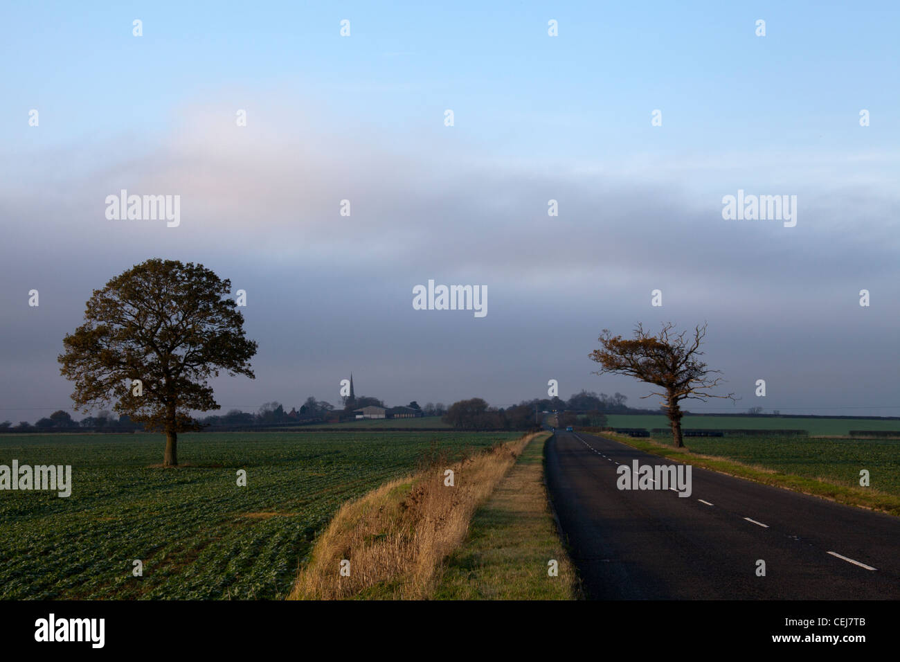 Alberi Seckington framing chiesa sulla B5493 Tamworth Road, Warwickshire. Foto Stock