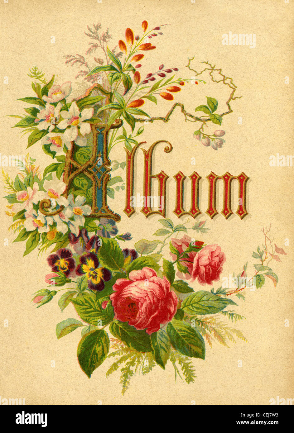 Circa 1890 Album frontespizio dal Vittoriano di un album di foto. Foto Stock