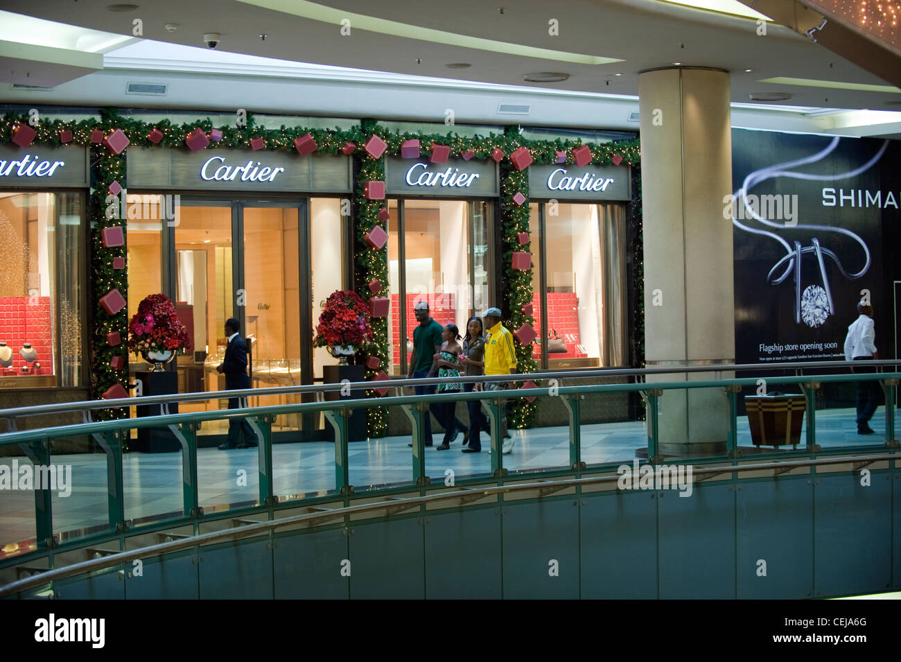 Sandton City Shopping Mall,Johannesburg,Gauteng Foto Stock