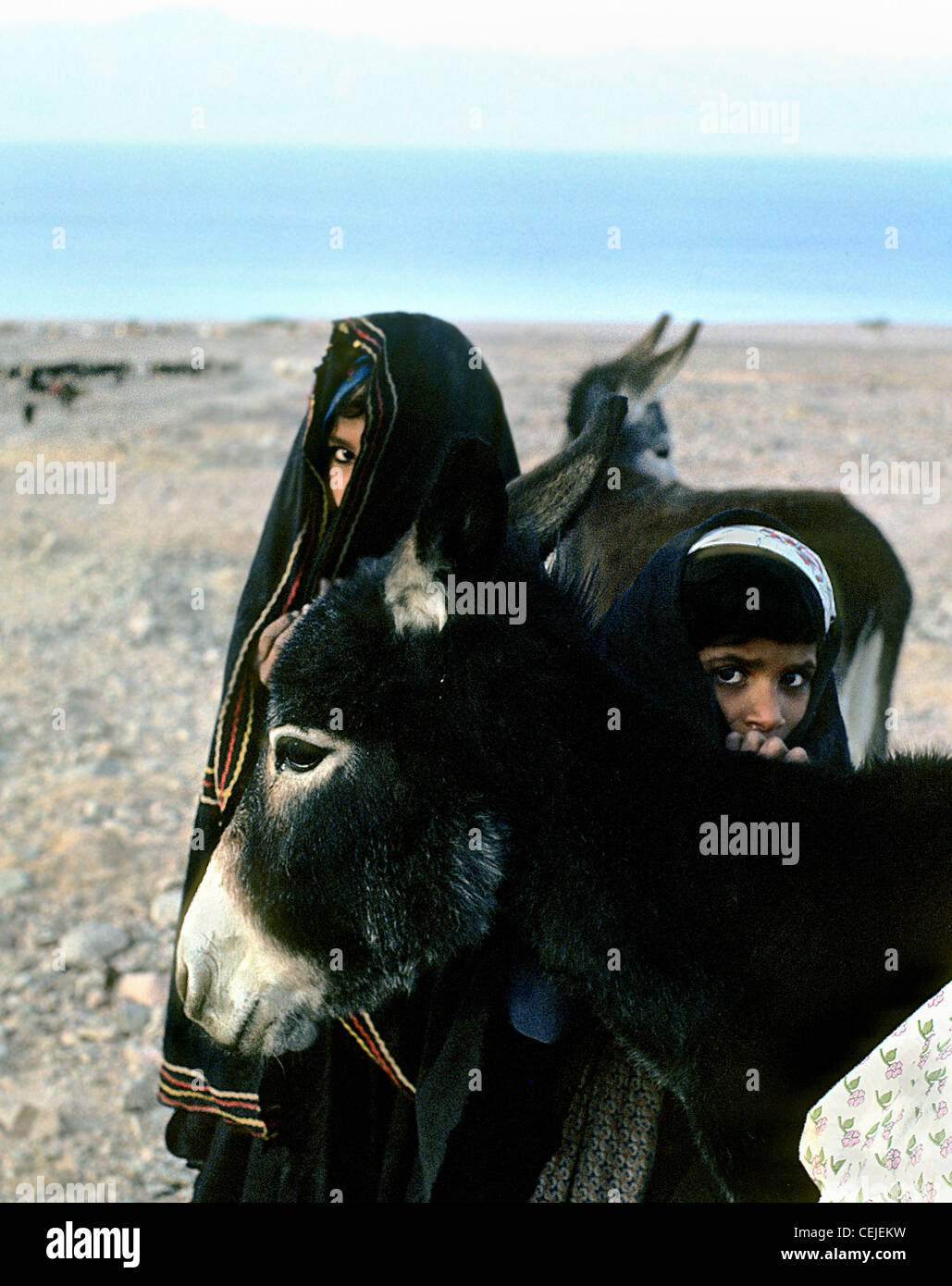 Deserto nomade beduino Foto Stock